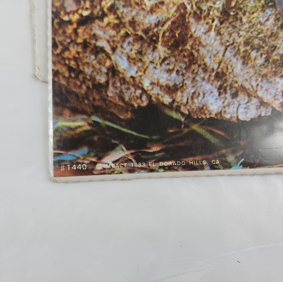 - Bruce lakofka, Tom Bakefield posters wolf panther 8x10 3 prints lot - Picture 4 of 14